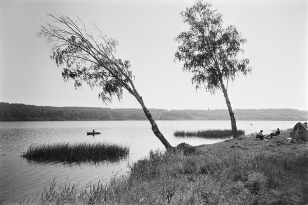Landscapes